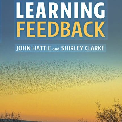 Visible Learning Feedback