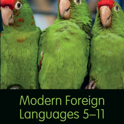 Modern Foreign Languages 511