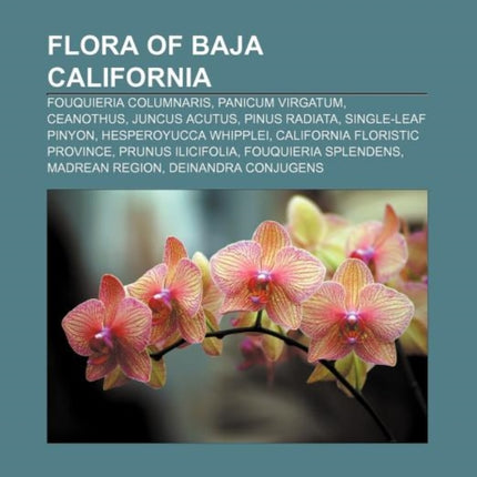 Flora of Baja California