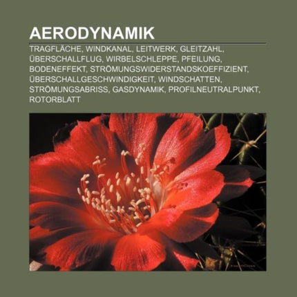 Aerodynamik