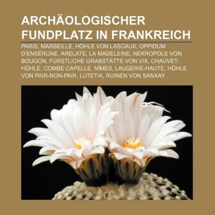 Archaologischer Fundplatz in Frankreich