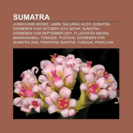 Sumatra