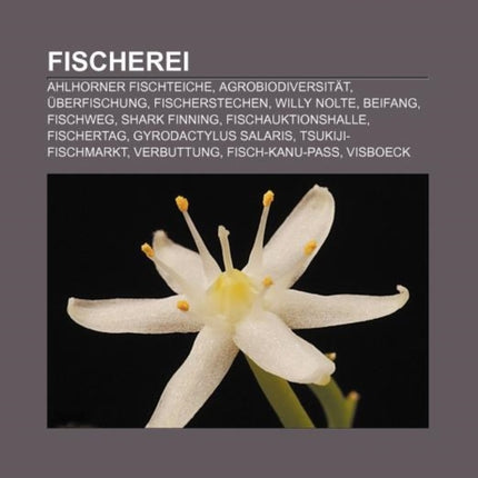 Fischerei
