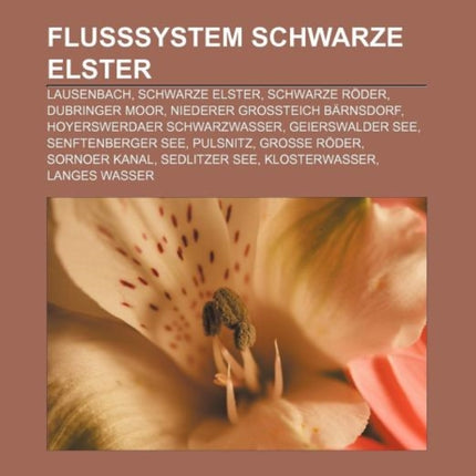 Flusssystem Schwarze Elster