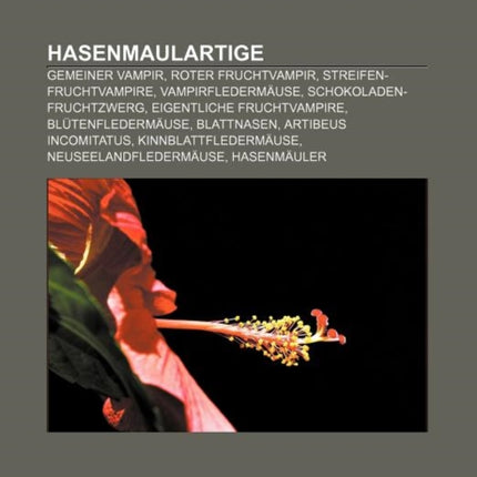 Hasenmaulartige