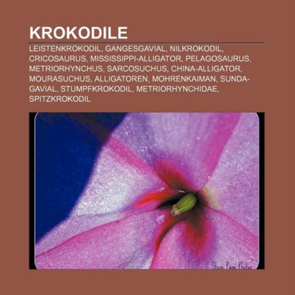 Krokodile