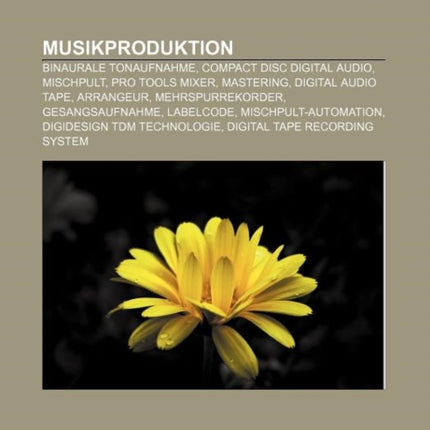 Musikproduktion