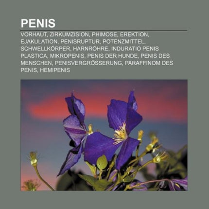 Penis