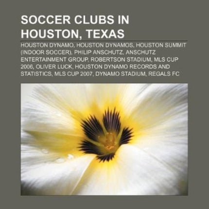 Soccer Clubs in Houston Texas