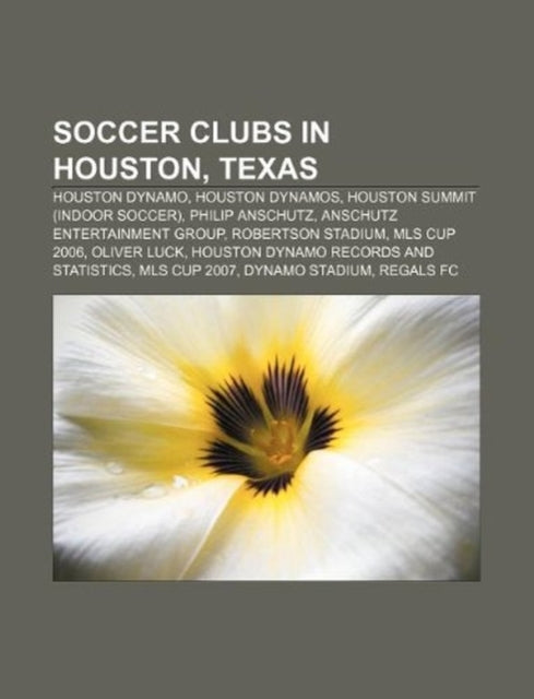 Soccer Clubs in Houston Texas