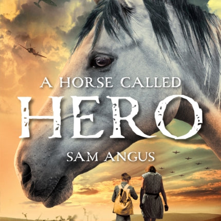 A Horse Called Hero