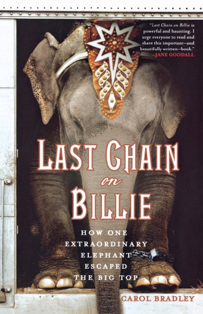 Last Chain on Billie