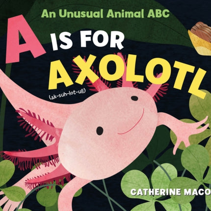 A Is for Axolotl: An Unusual Animal ABC