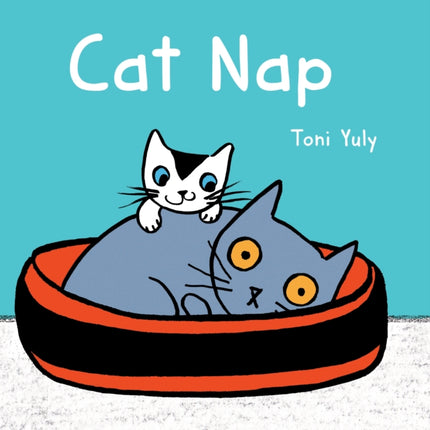 Cat Nap