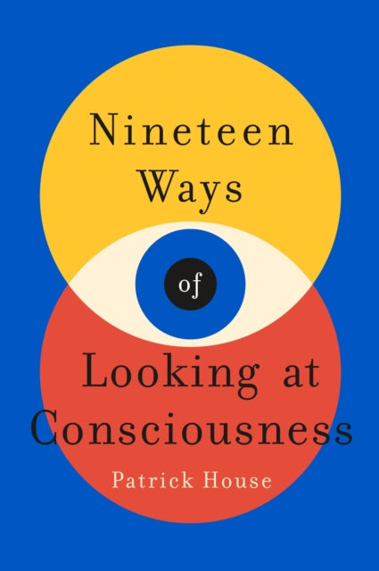 Nineteen Ways of Looking at Consciousness