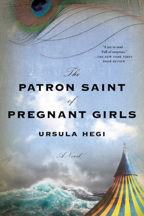 The Patron Saint of Pregnant Girls: A Novel