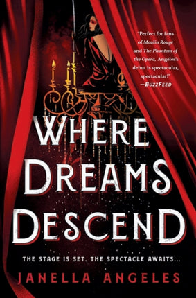 Where Dreams Descend: A Novel