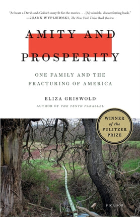 Amity and Prosperity: One Family and the Fracturing of America