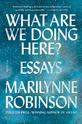 What Are We Doing Here?: Essays