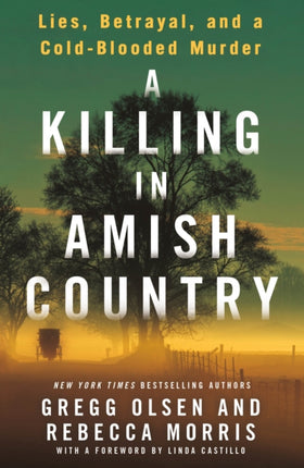 A Killing in Amish Country