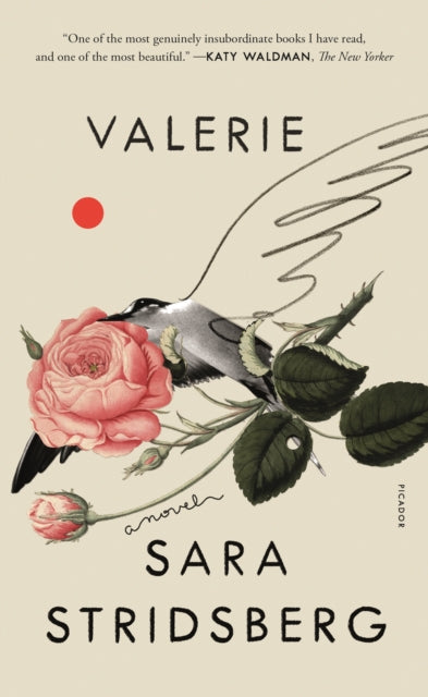 Valerie: Or, the Faculty of Dreams: A Novel