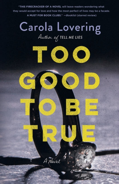 Too Good to Be True: A Novel