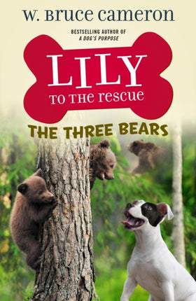 Lily to the Rescue: The Three Bears