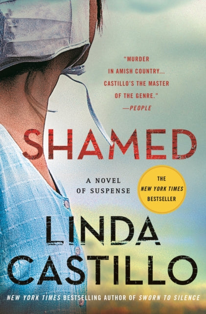 Shamed: A Kate Burkholder Novel