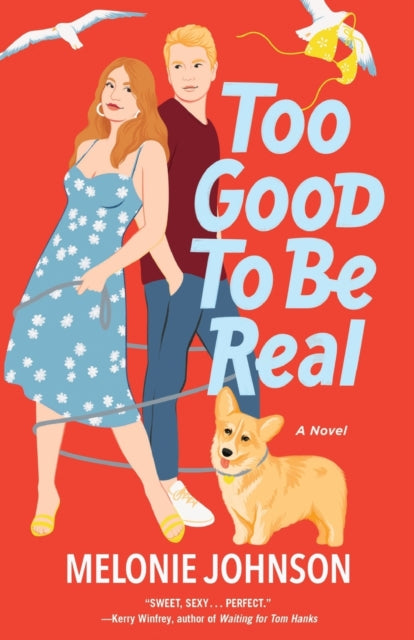 Too Good to Be Real: A Novel