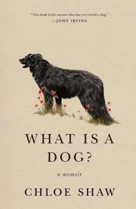 What Is a Dog