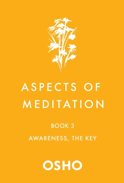 Aspects of Meditation Book 3: Awareness, the Key