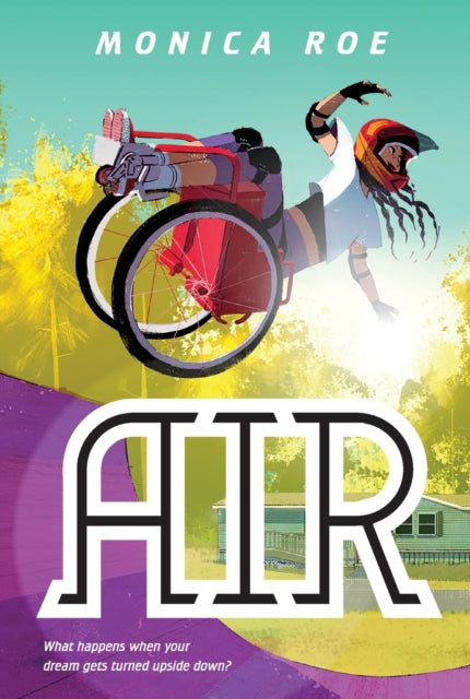 Air: A Novel