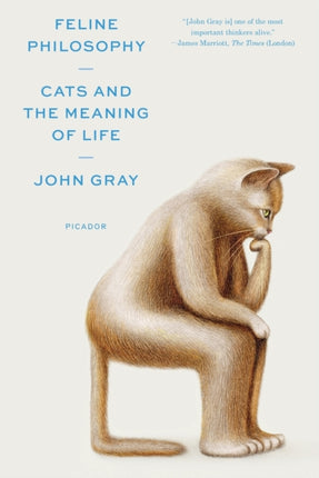 Feline Philosophy: Cats and the Meaning of Life