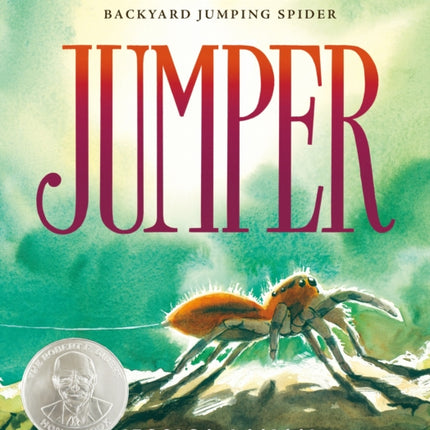 Jumper: A Day in the Life of a Backyard Jumping Spider