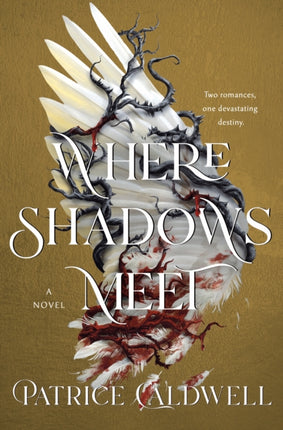 Where Shadows Meet