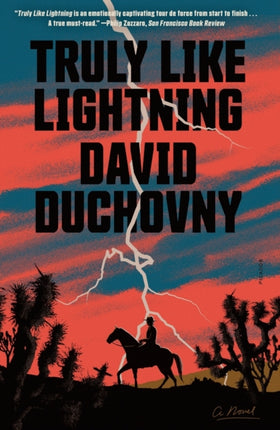 Truly Like Lightning: A Novel