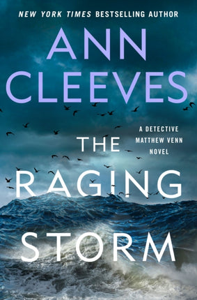 The Raging Storm: A Detective Matthew Venn Novel