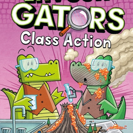 Investigators Class Action