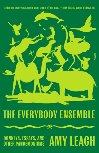 The Everybody Ensemble: Donkeys, Essays, and Other Pandemoniums