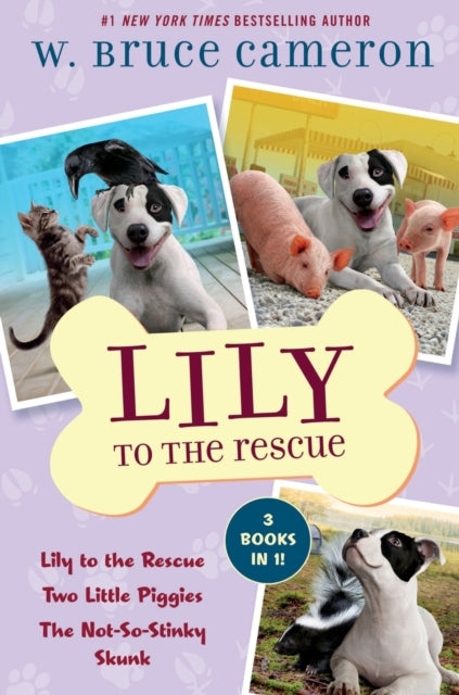 Lily to the Rescue Bind-Up Books 1-3: Lily to the Rescue, Two Little Piggies, and the Not-So-Stinky Skunk