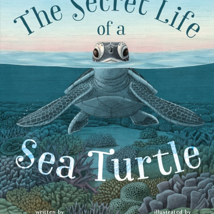 The Secret Life of a Sea Turtle