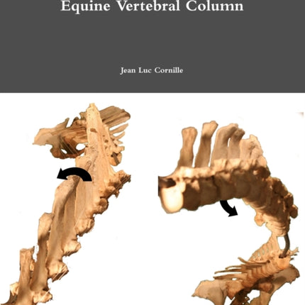 Transversal Rotations in the Equine Vertebral Column