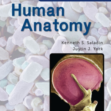 Human Anatomy 2024 Release ISE