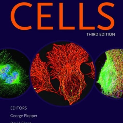 Lewin's CELLS