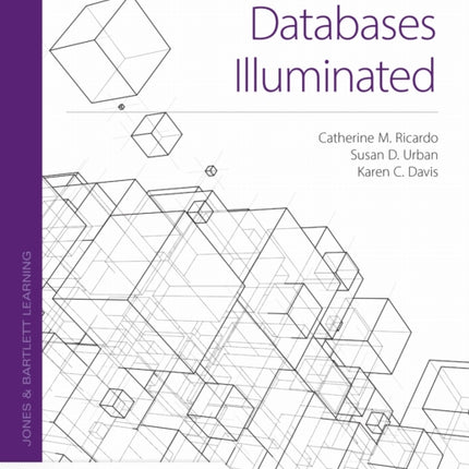 Databases Illuminated