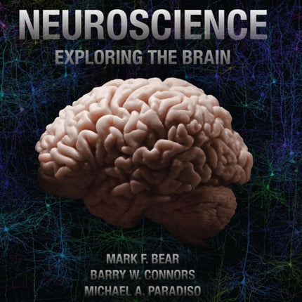 Neuroscience Exploring the Brain