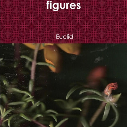 on the divisions of figures