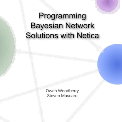 Programming Bayesian Network Solutions with Netica