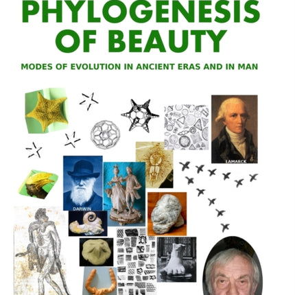 Phylogensesis of Beauty