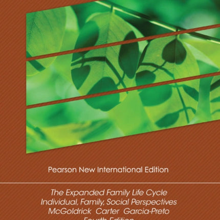 Expanded Family Life Cycle The Individual Family